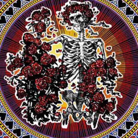 Grateful Dead Skull and Roses Tapestry – Bertha Tapestry closeup