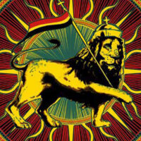 Rasta Lion of Judah with Flag Reggae Music Tapestry closeup