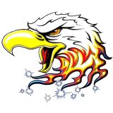 Screaming Eagles Wrestling