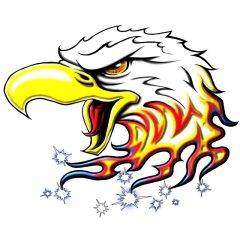 Screaming Eagles Wrestling