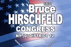 Bruce Hirschfeld for Congress Logo Design