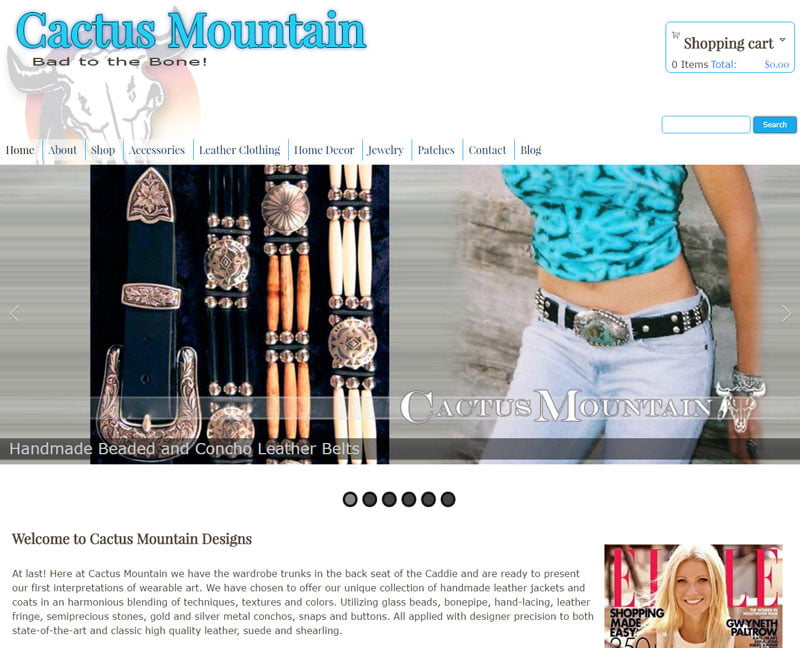 Infinite Web Design Concepts - Cactus Mountain