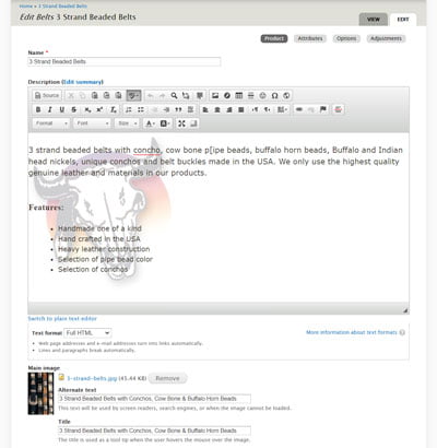 WordPress Drupal eCommerce - Drupal Product Editor Interface