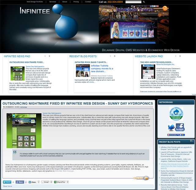 Infinitee Web Design 2012