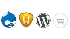WordPress and Drupal Web Design Content eCommerce Experts