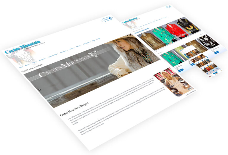 NYC & Delaware Web Design - Cactus Mountain