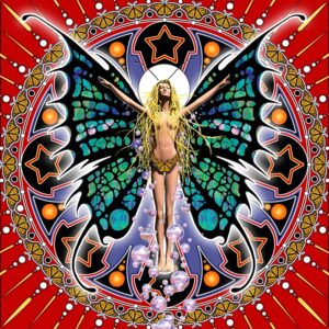 Rotate from Center Action - Butterfly Lady Tapestry