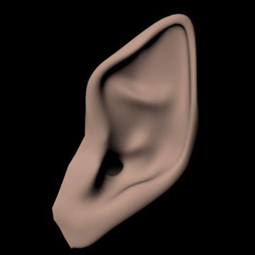 Elven or Fairy Ear - Free Maya & 3D Studio Max 3D Model