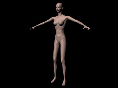 Women's Body 3D Model - Free Maya & 3D Studio Max 3D Model