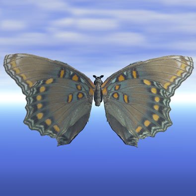 3D Moth Model - Free Bryce 3D Model