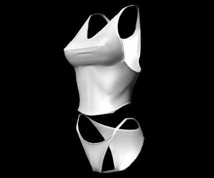 Tank Top and Panties 3D Model - Free Maya & 3D Studio Max 3D Model