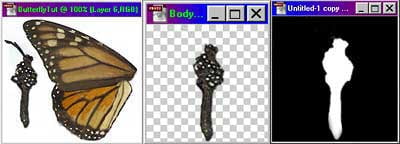 3D Butterfly Tutorial 1 - Using Original image to create 1 body texture and 1 body Alfa Layer image