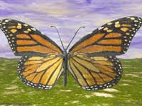 3D Monarch Butterfly Tutorials