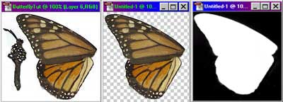 3D Butterfly Tutorial 1 - Wing Texture and Alfa
