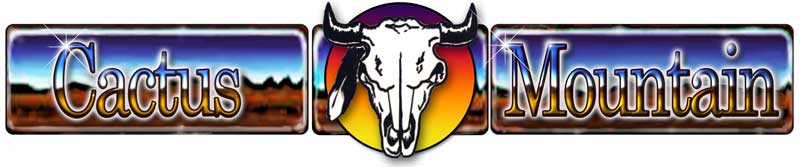 cactus-mountain-logo